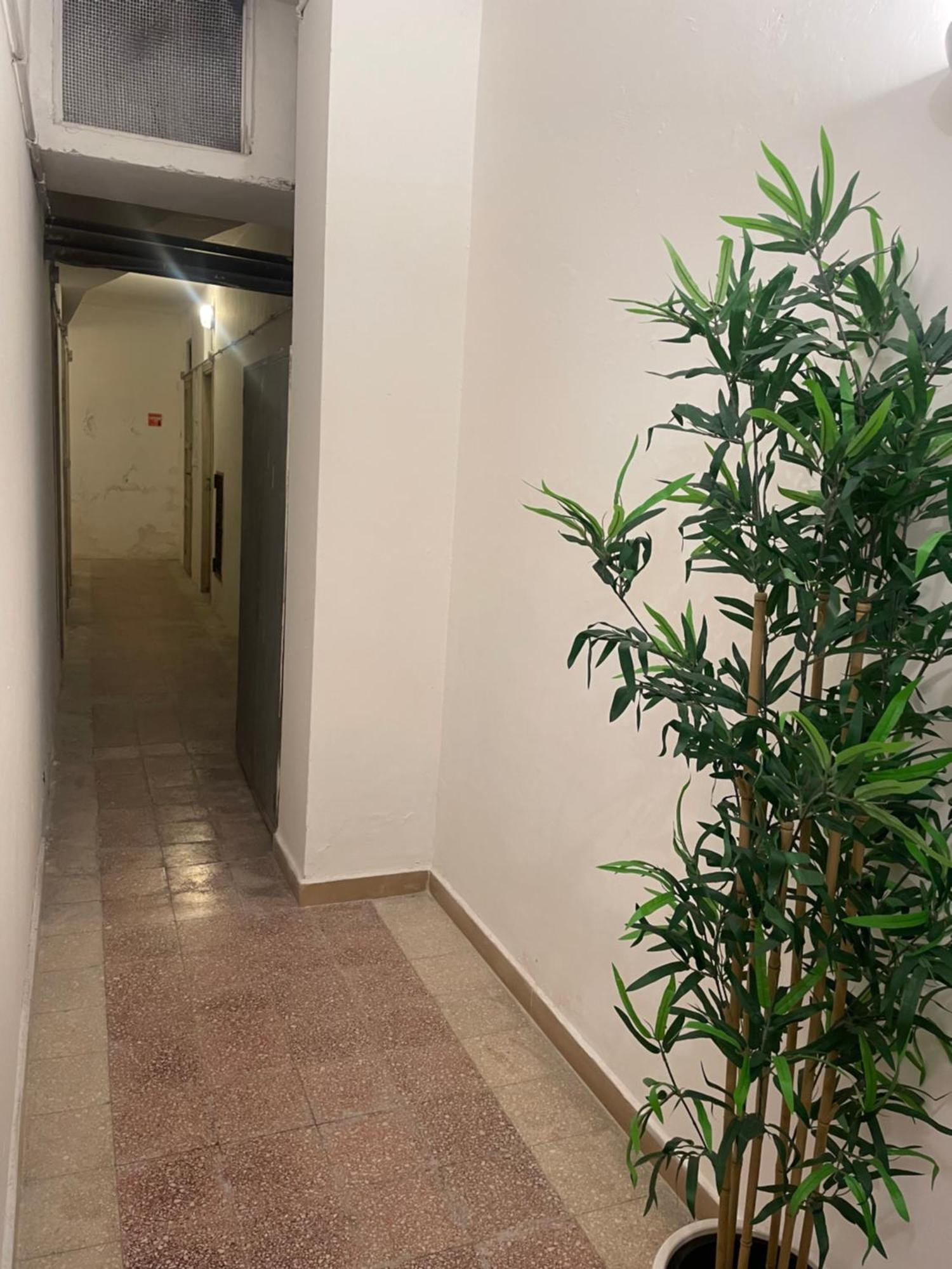 Apartment Bilocale Socrates